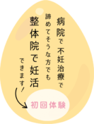 病院で不妊治療で諦めてそうな方でも整体院で妊活できます！初回体験